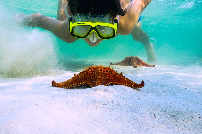 Private Stingray City and Snorkeling Half Day Charter for 6 Guest - Included Amenities