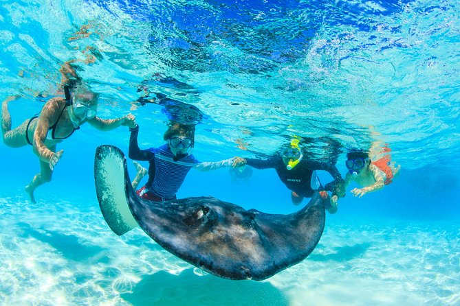 Private Stingray City Snorkeling and BioBay Charter for 10 Guests - Participant Information