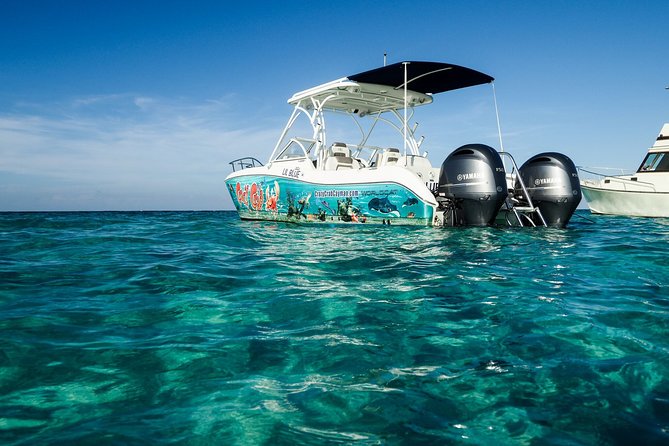 Private Stingray City Snorkeling and BioBay Charter for 10 Guests - Cancellation and Pricing