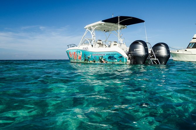 Private Stingray City Snorkeling and BioBay Charter for 6 Guests - Sunset Meal Included
