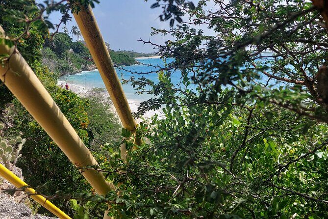 Private Street Art Murals and Coastal San Nicolas E-Bike Aruba - FAQs