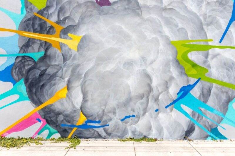 Private Street Art Tour in Miami - Experience and Highlights