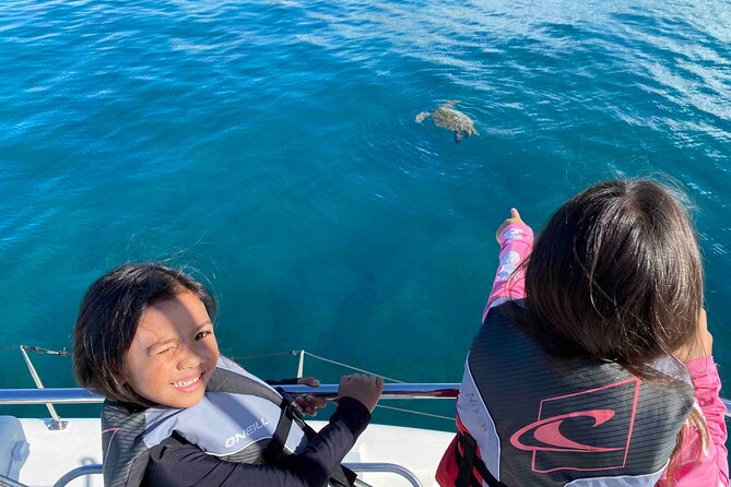 Private Sunrise Catamaran Cruise in Waikiki - Spotting Local Wildlife