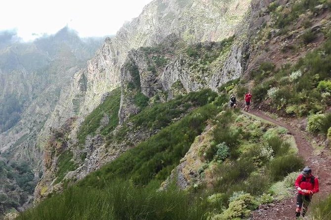 Private Sunrise Guided Hike on Pico Do Areeiro or Other Custom - Hike Customization Options