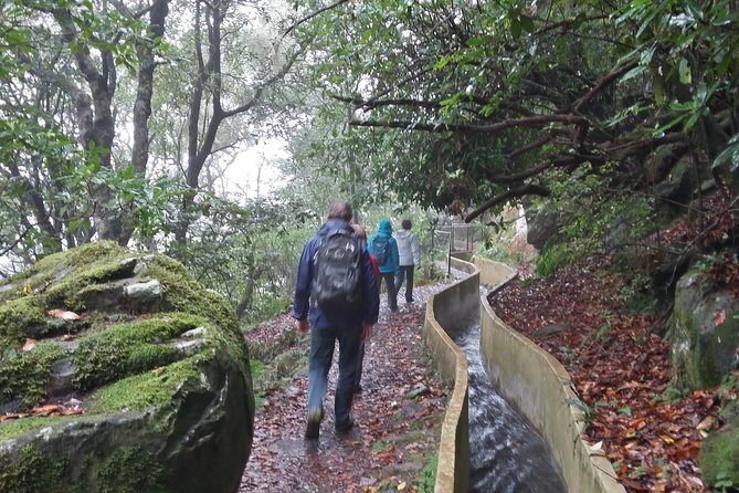 Private Sunrise Guided Hike on Pico Do Areeiro or Other Custom - Booking and Cancellation Policy