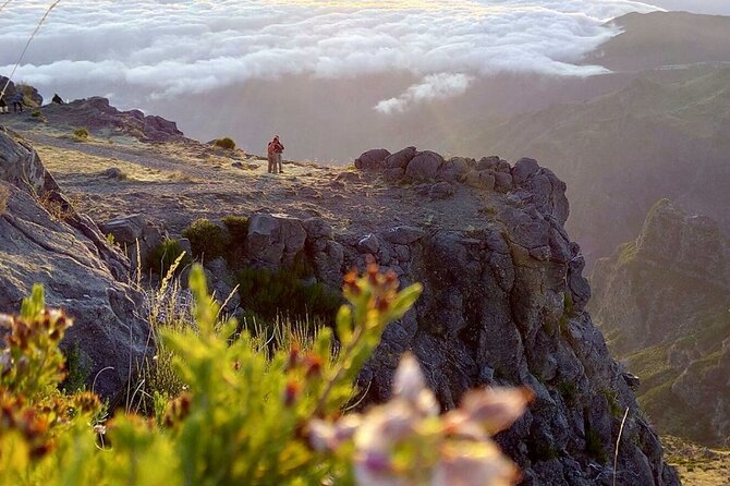Private Sunrise Pico Do Areeiro Half Day With Easy Levada Walk - Pickup Information