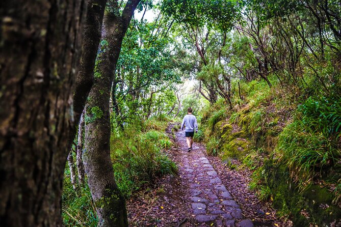 Private Sunrise Pico Do Areeiro Half Day With Easy Levada Walk - Exciting Off-Road Adventure