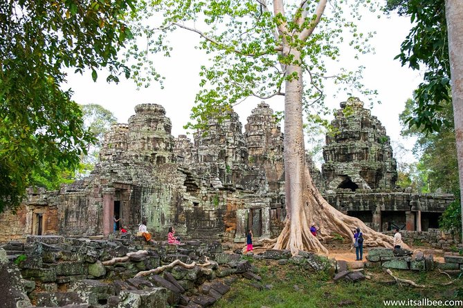 Private Sunrise Small Tour of Angkor Wat With Car or Van & Guide - Reviews and Badge of Excellence