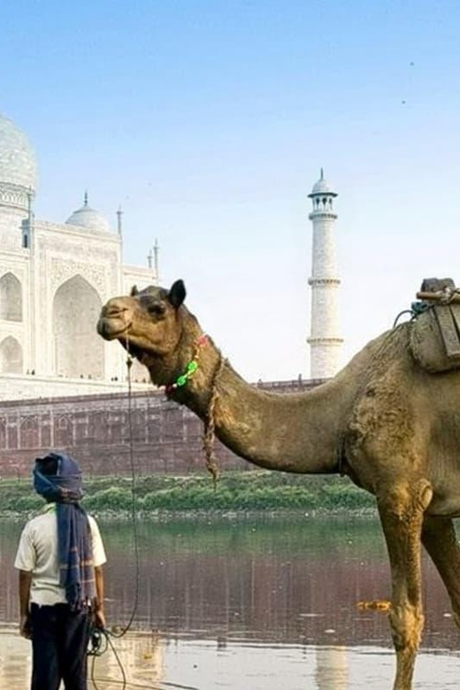 Private Sunrise Taj Mahal & Agra Fort From Jaipur by Car - Key Points