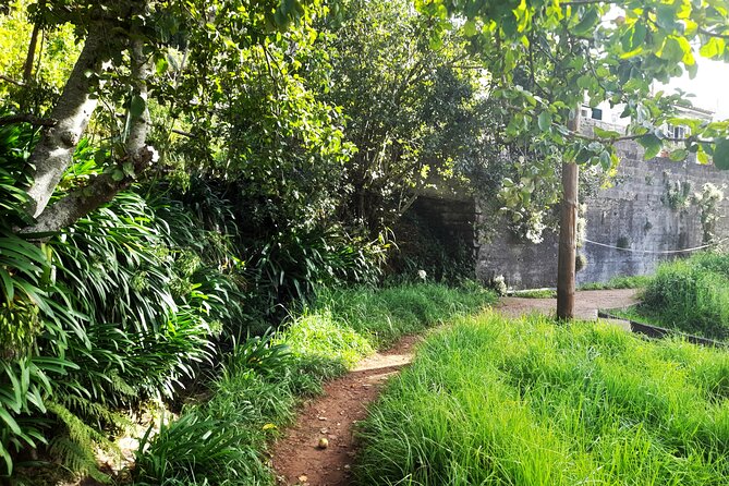 Private Sunrise Tour at Pico Do Arieiro With Breakfast Included - Preparing for the Tour
