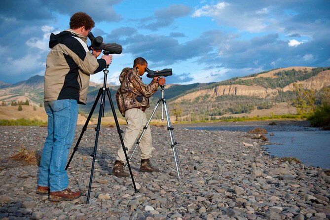 Private Sunrise Wildlife Adventure Into Yellowstone Lamar Valley - Participant Information and Accessibility