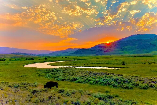 Private Sunrise Wildlife Adventure Into Yellowstone Lamar Valley - Highlights of the Lamar Valley