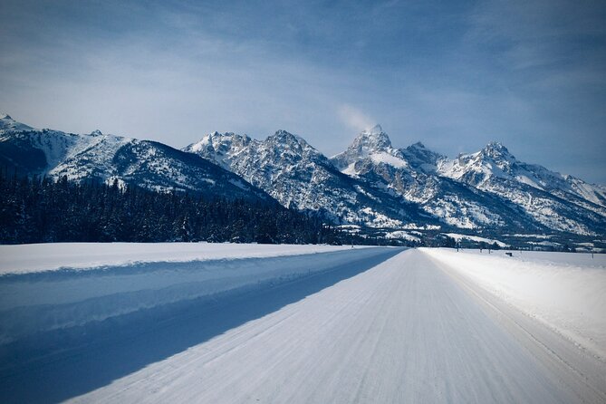 Private Sunrise Winter Tour of Grand Teton National Park - Testimonial and Guest Experiences