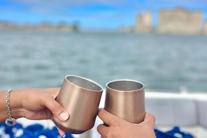 Private Sunset and Dolphin Tour in St. Petersburg, Florida - Highlights of the Tour
