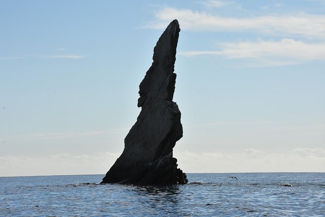 Private Sunset Cruise - Included Amenities