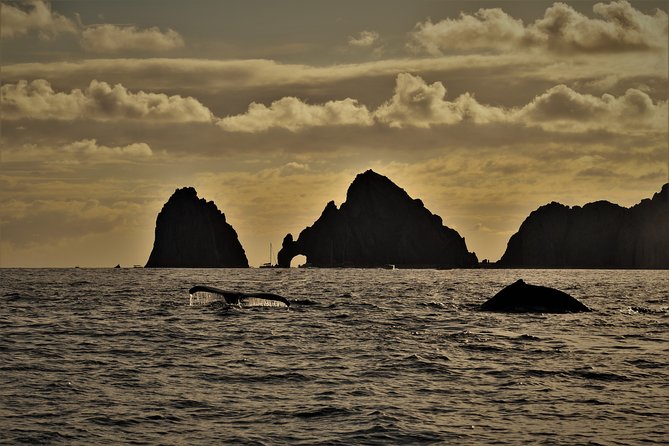 Private Sunset Cruise - Safety and Regulations