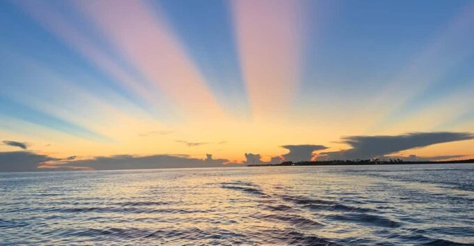 Private Sunset Cruise - Wildlife Observation