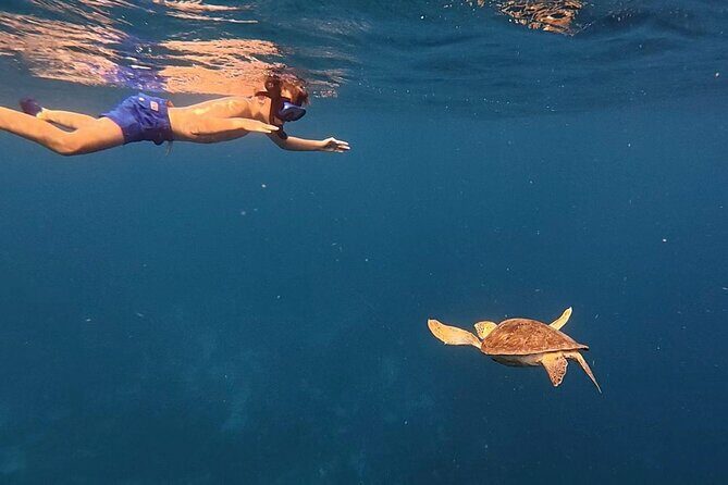 Private Sunset Cruise in Bonaire with Snorkeling - Pricing and Value
