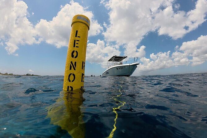 Private Sunset Cruise in Bonaire with Snorkeling - Final Thoughts: Is It Worth It?