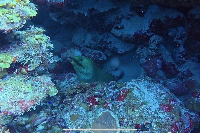 Private Sunset Cruise in Bonaire with Snorkeling - FAQ