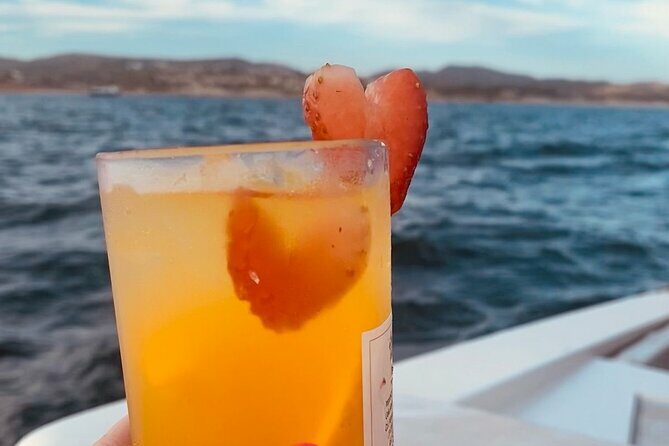 Private Sunset Cruise in San Jose del Cabo Appetizers,open bar - FAQ