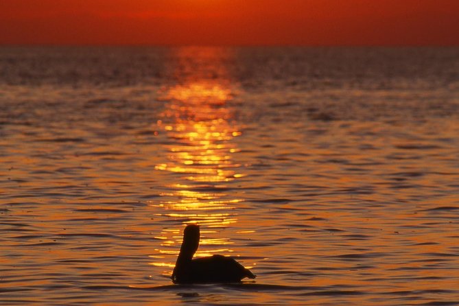 Private Sunset Cruise South Padre Island - Customize the Itinerary