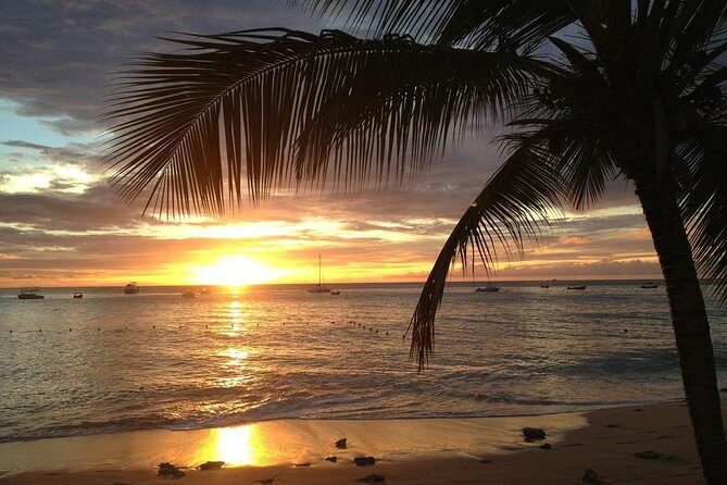 Private Sunset Horseback Riding in punta cana beach - The Itinerary in Detail