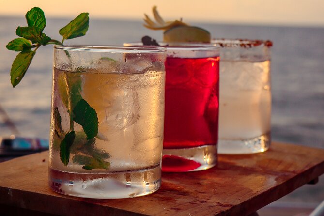 Private Sunset Sailing Cruise in Puerto Vallarta - Accessibility and Participation