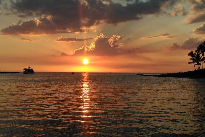 PRIVATE Sunset & Sightseeing Boat Trip of Naples Bay and the Gulf - Wildlife Spotting Opportunities