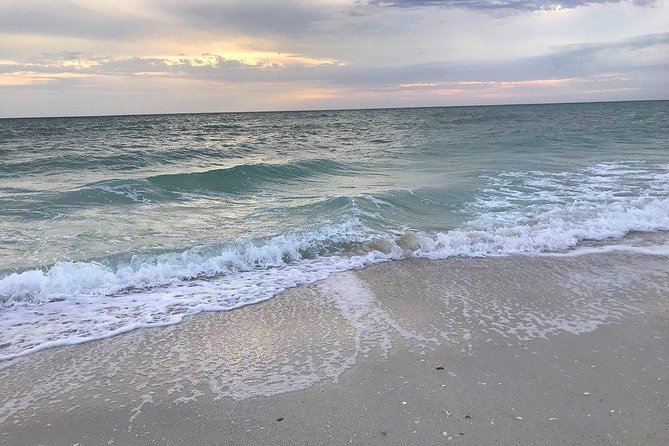 PRIVATE Sunset & Sightseeing Boat Trip of Naples Bay and the Gulf - Ecosystem and Preservation Efforts