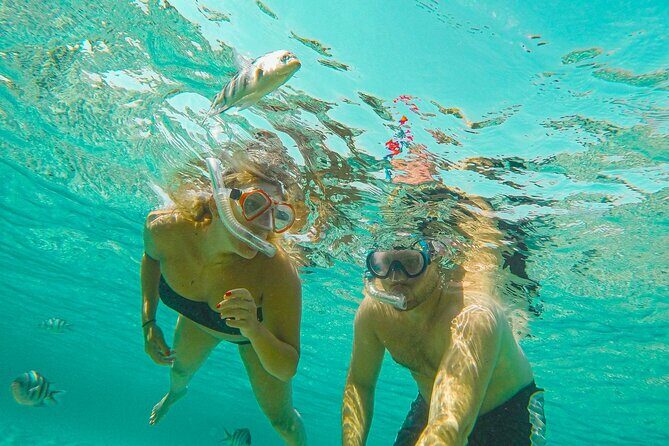 Private Sunset Snorkeling Boat trip in Curacao - Authenticity and Guest Experiences