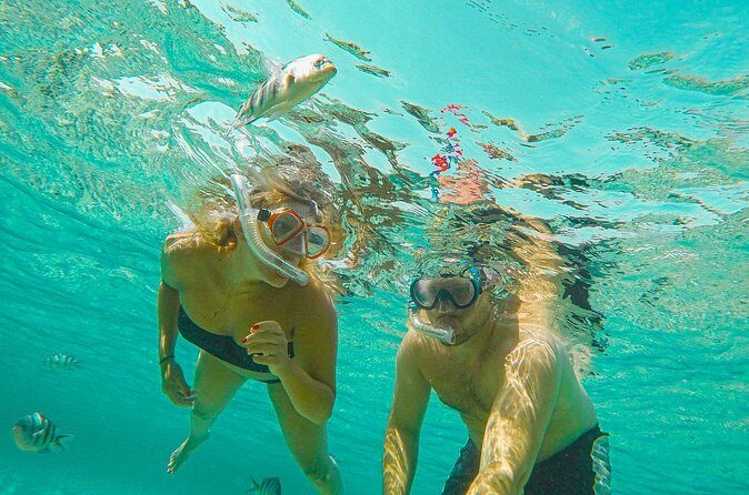 Private Sunset Snorkeling Boat trip in Curacao - Final Thoughts