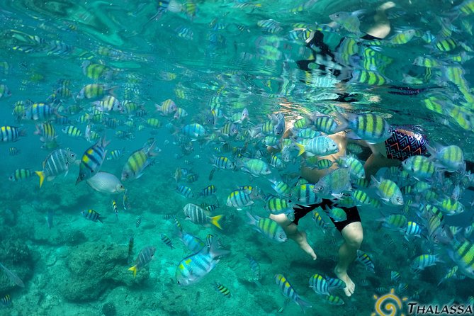 Private Sunset Tour&Night Snorkel by Hybrid Catamaran-Speedboat ! - Food and Beverages