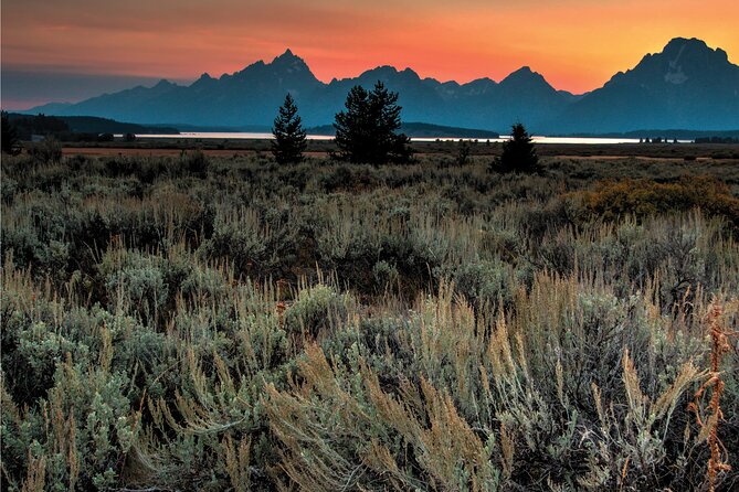 Private Sunset Wildlife Dinner Safari From Jackson WY - Alfresco Dinner With Wilderness Views