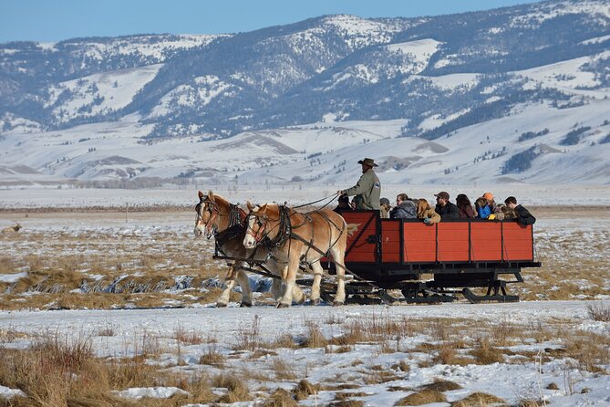 Private Sunset Winter Tour of Grand Teton National Park - Frequently Asked Questions