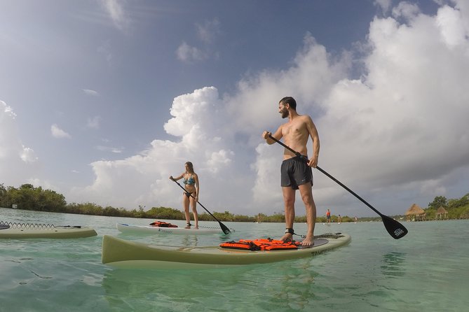 Private SUP Tour - Increased Wildlife Chances