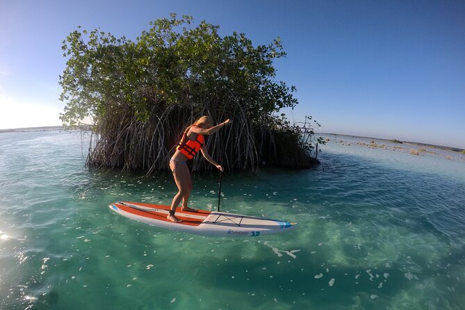 Private SUP Tour - Inclusions and Amenities