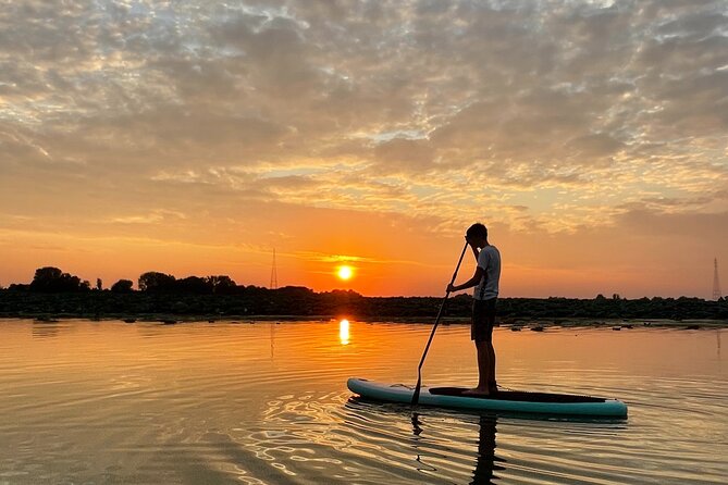 Private SUP Tour in Mantua City of Water - Key Points