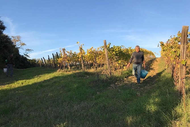 Private Super Tuscan & Extra Virgin Olive Oil Tasting - Sensory Evaluation Techniques