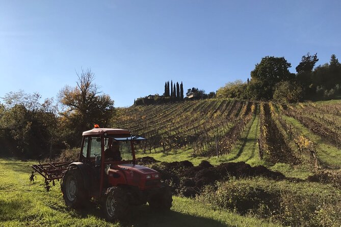 Private Super Tuscan & Extra Virgin Olive Oil Tasting - Pairing Suggestions