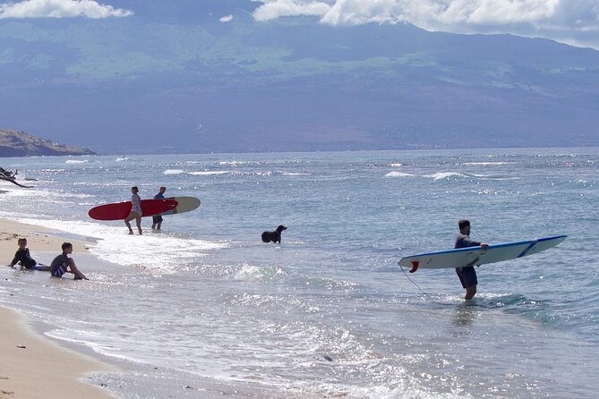 Private Surf Lesson for One Near Lahaina - Participant Requirements