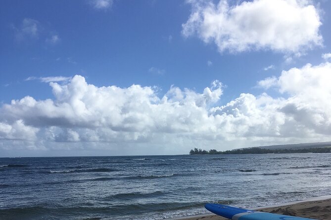 Private Surfing Lessons on the North Shore of Oahu - Participant Accessibility and Age