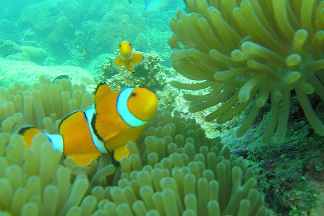 Private Surin Islands Longtail Boat Tour - Cancellation Policy