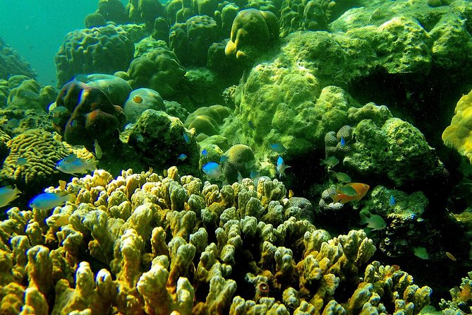 Private Surin Islands Longtail Boat Tour - Suitability and Accessibility