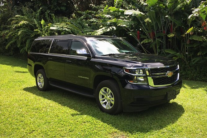 Private SUV Transfer- Lihue Airport to Lihue/Kapaa - Pickup Information