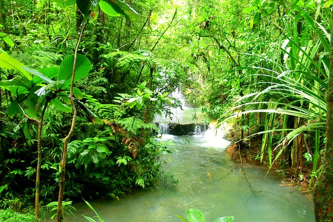 Private Suva Nature and Waterfall Tour - Pickup Information