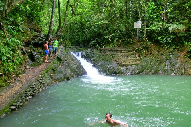 Private Suva Nature and Waterfall Tour - Trekking and Swimming Experiences