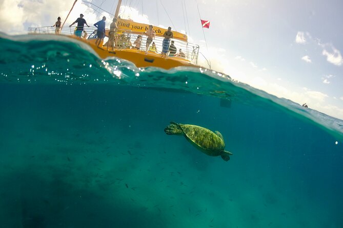 Private Swim and Sail Charter (Kewalo Harbor) - Schedule and Participation