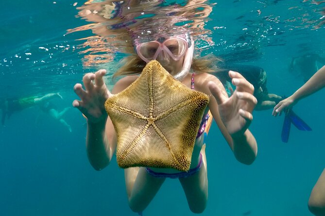 Private Swim and Sail Charter (Kewalo Harbor) - Booking and Cancellation Policy