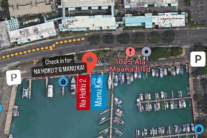 Private Swim and Sail Charter (Kewalo Harbor) - Pricing and Lowest Price Guarantee